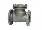 Ball chaeck valve made of steel